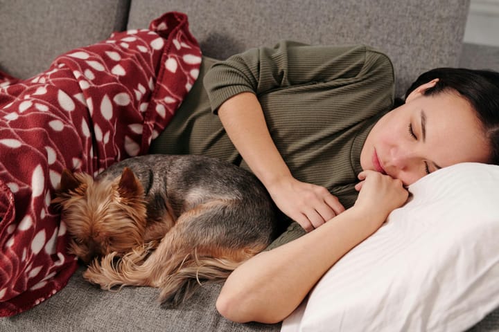 The benefits of sleeping with a dog.